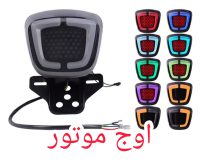 خطر لونه زنبوری راهنما دار