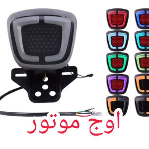 خطر لونه زنبوری راهنما دار